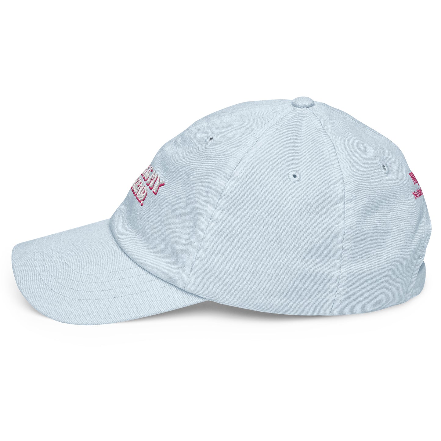 Taylor Swift "Karma is my boyfriend." Pastel embroidered baseball hat