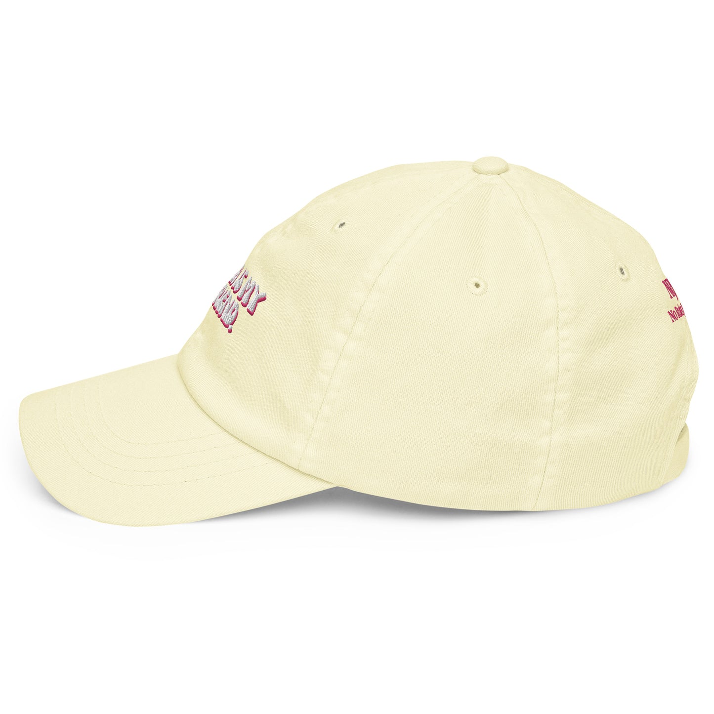 Taylor Swift "Karma is my boyfriend." Pastel embroidered baseball hat