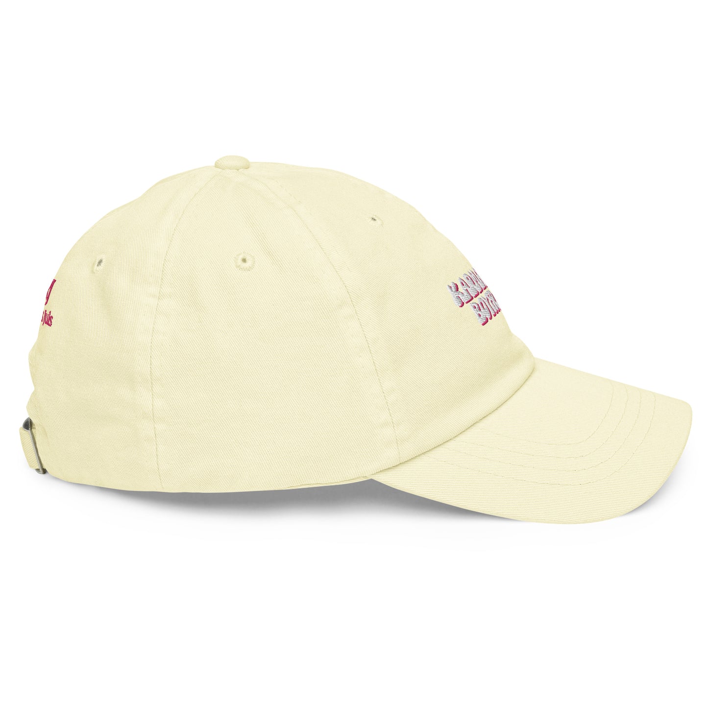 Taylor Swift "Karma is my boyfriend." Pastel embroidered baseball hat