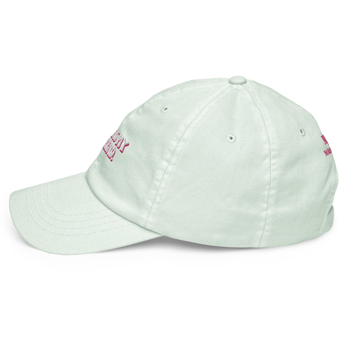 Taylor Swift "Karma is my boyfriend." Pastel embroidered baseball hat