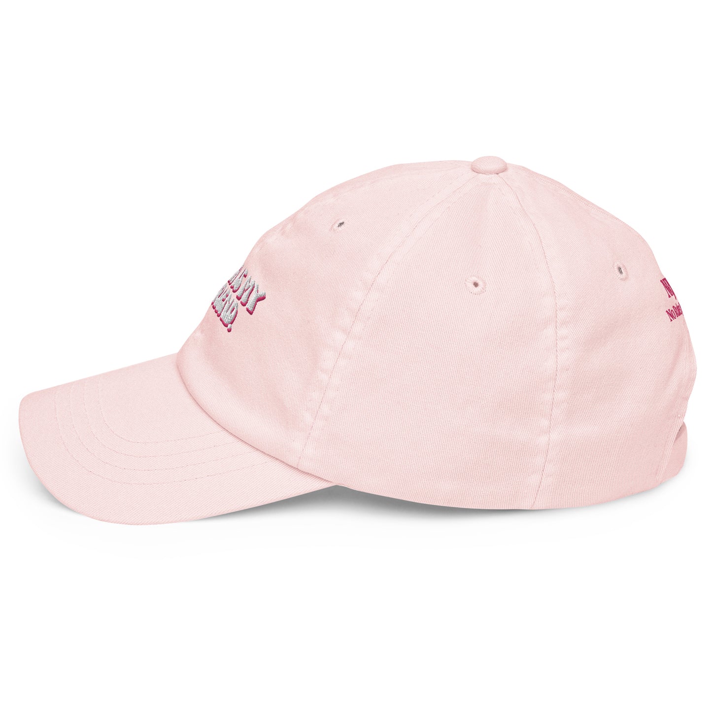 Taylor Swift "Karma is my boyfriend." Pastel embroidered baseball hat