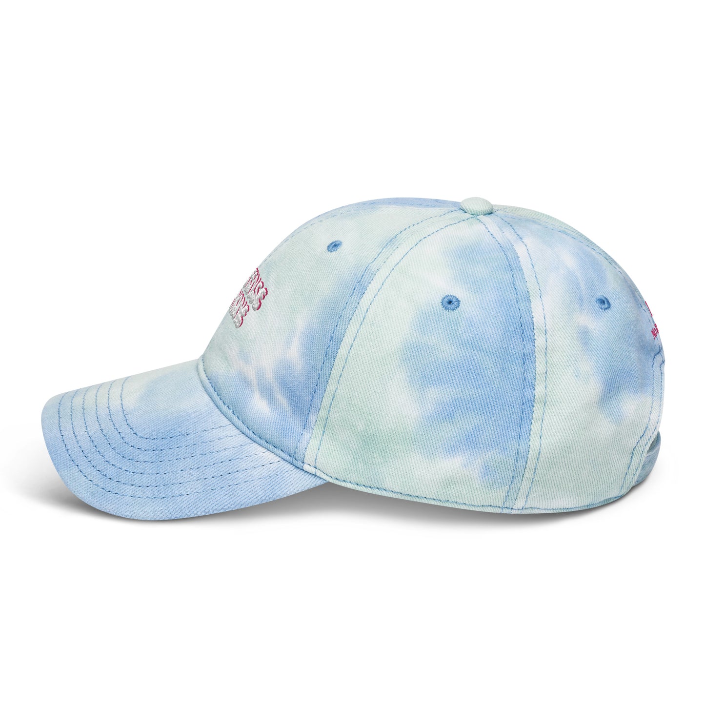 Taylor Swift "In my defense I have none" embroidered Tie dye hat